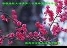 Published on 5/14/2012 ֹ,½󷨵Ӻʦ𻪵߷ִ(120) - ִ
