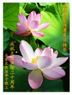 Published on 5/14/2012 ֹ,½󷨵Ӻʦ𻪵߷ִ(120) - ִ
