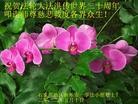 Published on 5/14/2012 ֹ,½󷨵Ӻʦ𻪵߷ִ(120) - ִ
