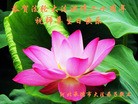 Published on 5/14/2012 ֹ,½󷨵Ӻʦ𻪵߷ִ(120) - ִ
