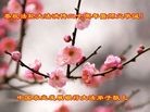 Published on 5/18/2012 ֹ,ͬ졢ͬף̣ͬͼ - ִ
