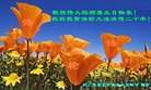 Published on 5/8/2012 ֹ,ϵ󷨵Ӻʦ𻪵߷ִ - ִ
