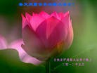 Published on 5/8/2012 ֹ,½󷨵ӹףִ󷨺鴫ʮ꣨ - ִ
