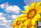 Published on 5/11/2012 ֹ,󷨵ӹطִ󷨺鴫ʮ - ִ
