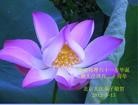 Published on 5/12/2012 ֹ,½󷨵ӹش󷨺鴫ʮ(107) - ִ
