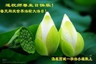 Published on 5/14/2013 ֹ,½󷨵ӹʦ𻪵߷ִ(47)
