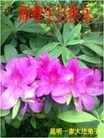 Published on 5/14/2013 ֹ,½󷨵ӹʦ𻪵߷ִ(47)
