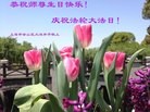Published on 5/14/2013 ֹ,½󷨵ӹʦ𻪵߷ִ(47)
