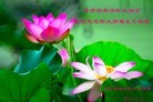 Published on 5/14/2013 ֹ,½󷨵ӹʦ𻪵߷ִ(47)
