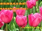Published on 5/14/2013 ֹ,½󷨵ӹʦ𻪵߷ִ(47)
