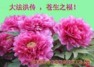 Published on 5/13/2013 ֹ,˹ף־ʦտ(31)
