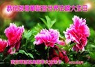 Published on 5/13/2013 ֹ,Ӵ󷨵ӹʦ𻪵߷ִ(23)
