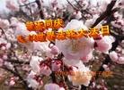 Published on 5/13/2013 ֹ,󷨵ӹʦ𻪵߷ִ(27)
