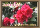 Published on 5/13/2013 ֹ,˹ף־ʦտ(31)
