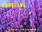 Published on 5/13/2013 ֹ,󷨵ӹʦ𻪵߷ִ(22
