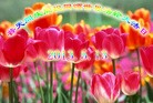 Published on 5/14/2013 ֹ,½󷨵ӹʦ𻪵߷ִ(35)
