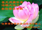 Published on 5/13/2013 ֹ,½󷨵ӹʦ𻪵߷ִ(34)
