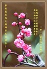 Published on 5/13/2013 ֹ,½󷨵ӹʦ𻪵߷ִ(83)
