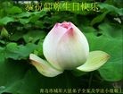 Published on 5/13/2013 ֹ,½󷨵ӹʦ𻪵߷ִ(31)
