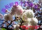 Published on 5/13/2013 ֹ,½󷨵ӹʦ𻪵߷ִ(30)
