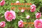 Published on 5/13/2013 ֹ,½󷨵ӹʦ𻪵߷ִ(30)
