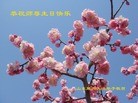 Published on 5/13/2013 ֹ,½󷨵ӹʦ𻪵߷ִ(30)
