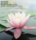 Published on 5/13/2013 ֹ,½󷨵ӹʦ𻪵߷ִ(30)
