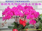 Published on 5/13/2013 ֹ,½󷨵ӹʦ𻪵߷ִ(30)
