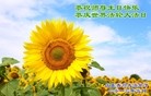 Published on 5/13/2013 ֹ,½󷨵ӹʦ𻪵߷ִ(53)
