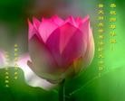 Published on 5/13/2013 ֹ,½󷨵ӹʦ𻪵߷ִ(32)

