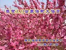 Published on 5/13/2013 ֹ,½󷨵ӹʦ𻪵߷ִ(30)
