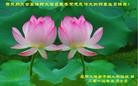 Published on 5/13/2013 ֹ,½󷨵ӹʦ𻪵߷ִ(30)
