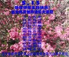 Published on 5/13/2013 ֹ,«󷨵ӹʦ𻪵߷ִ(23)
