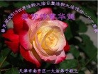 Published on 5/13/2013 ֹ,½󷨵ӹʦ𻪵߷ִ(39)
