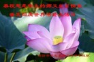 Published on 5/13/2013 ֹ,½󷨵ӹʦ𻪵߷ִ(31)
