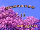 Published on 5/13/2013 ֹ,½󷨵ӹʦ𻪵߷ִ(32)
