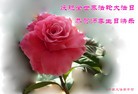 Published on 5/13/2013 ֹ,½󷨵ӹʦ𻪵߷ִ(32)
