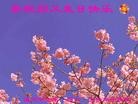 Published on 5/13/2013 ֹ,½󷨵ӹʦ𻪵߷ִ(32)
