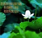 Published on 5/13/2013 ֹ,½󷨵ӹʦ𻪵߷ִ(32)
