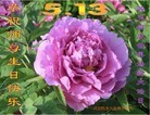 Published on 5/13/2013 ֹ,½󷨵ӹʦ𻪵߷ִ(83)
