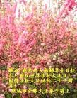 Published on 5/13/2013 ֹ,½󷨵ӹʦ𻪵߷ִ(83)
