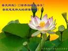 Published on 5/13/2013 ֹ,Խϡǡ󷨵ӹףʦտ
