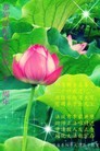 Published on 5/14/2013 ֹ,½󷨵ӹʦ𻪵߷ִ(56)
