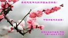 Published on 5/14/2013 ֹ,ϴ󷨵ӹʦ𻪵߷ִ(23)
