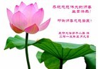 Published on 5/14/2013 ֹ,ϴ󷨵ӹʦ𻪵߷ִ(23)
