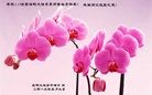 Published on 5/14/2013 ֹ,ϴ󷨵ӹʦ𻪵߷ִ(23)
