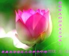 Published on 5/14/2013 ֹ,ػʵ󷨵ӹʦ𻪵߷ִ(23)
