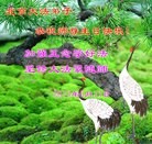 Published on 5/14/2013 ֹ,󷨵ӹʦ𻪵߷ִ(23)
