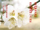 Published on 5/14/2013 ֹ,ӱ󷨵ӹʦ𻪵߷ִ(25)
