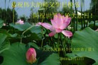 Published on 5/14/2013 ֹ,󷨵ӹʦ𻪵߷ִ(14)
